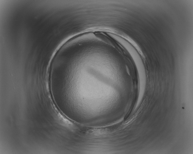 X0000083641102200702121117