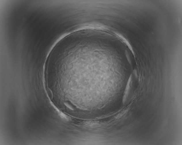 X0000083641103200702121117