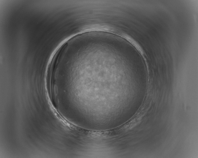X0000083641104200702121117