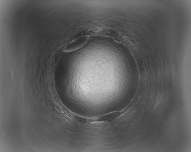 X0000083641105200702121117