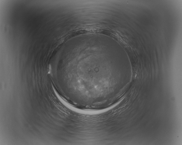 X0000083641106200702121117