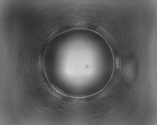 X0000083641107200702121117