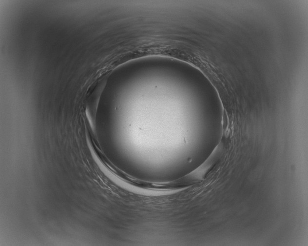 X0000083641109200702121117