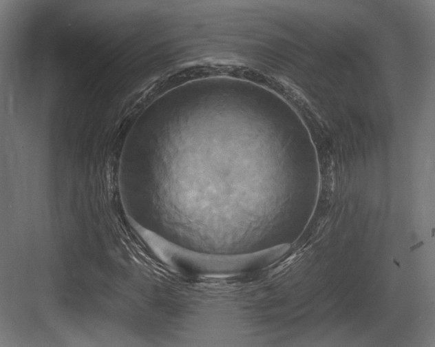 X0000083641110200702121117