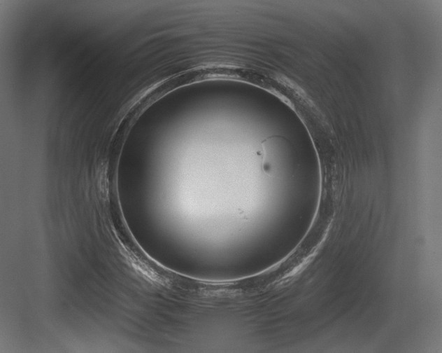 X0000083641113200702121117