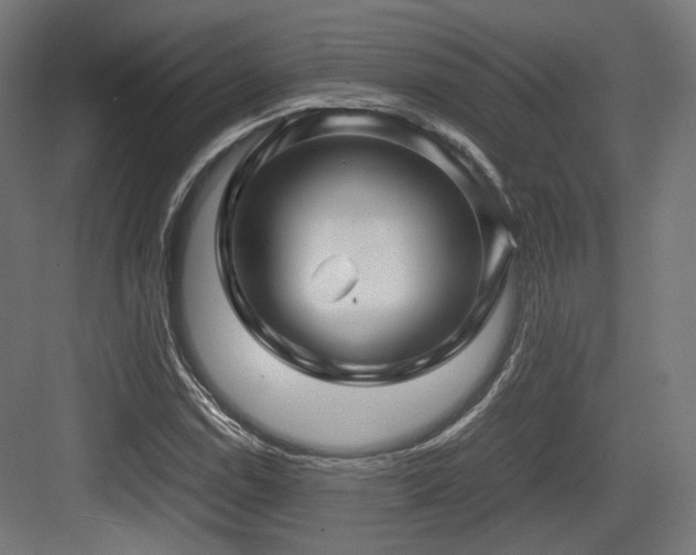 X0000083641114200702121117