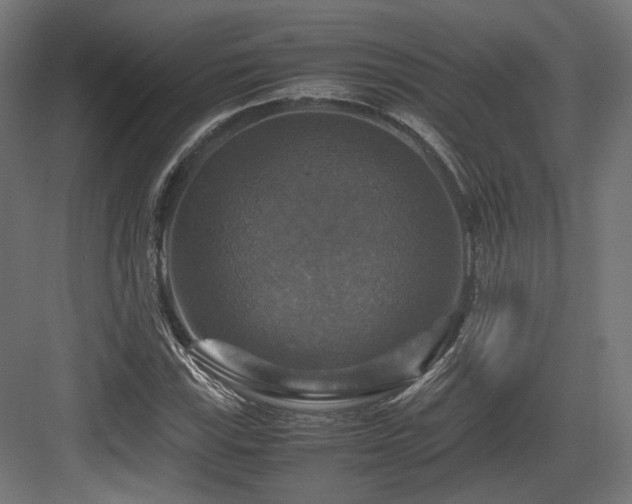 X0000083641115200702121117