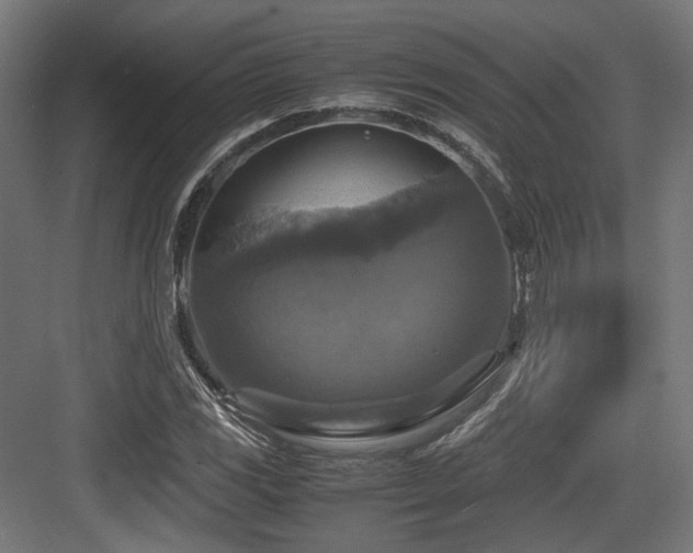 X0000083641117200702121117