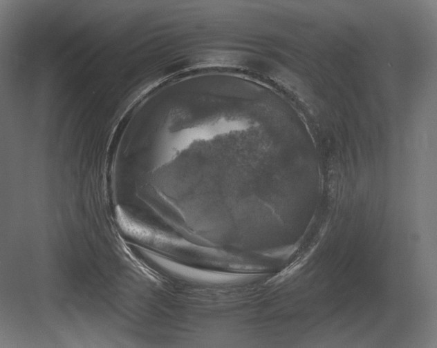 X0000083641121200702121117
