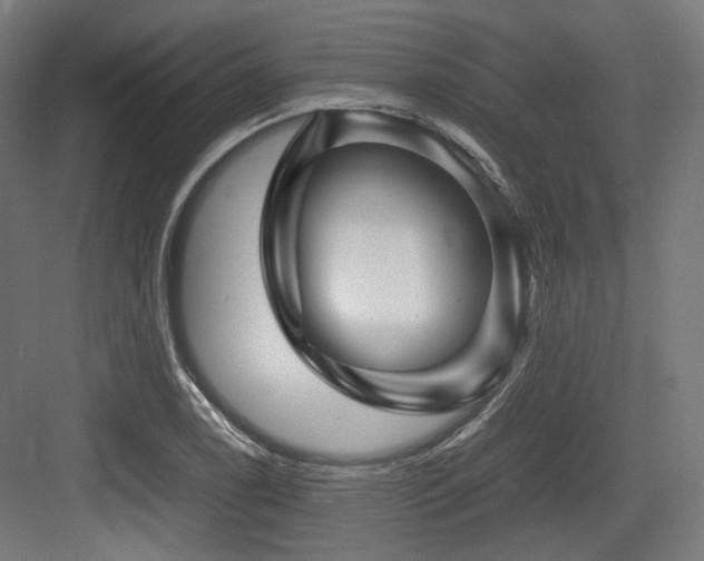 X0000083641122200702121117