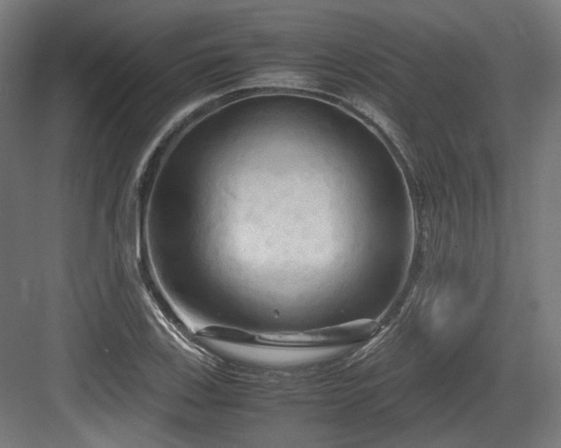 X0000083641123200702121117