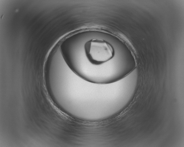 X0000083641124200702121117
