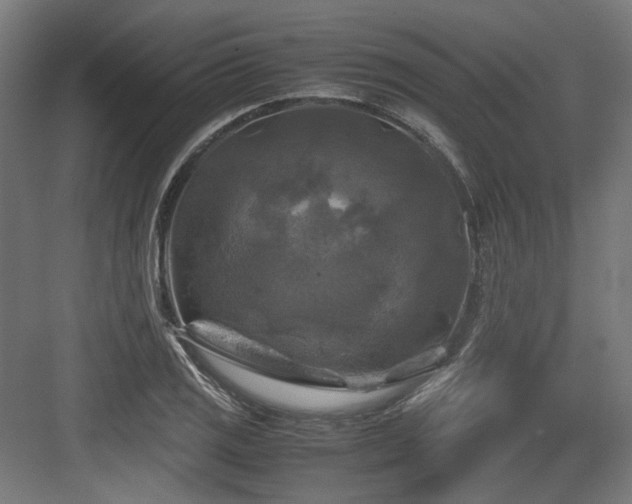 X0000083641125200702121117