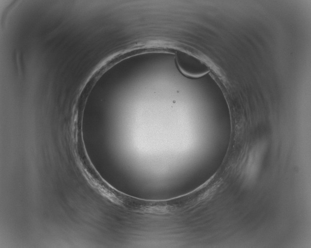 X0000083641126200702121117