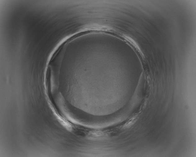X0000083641128200702121117