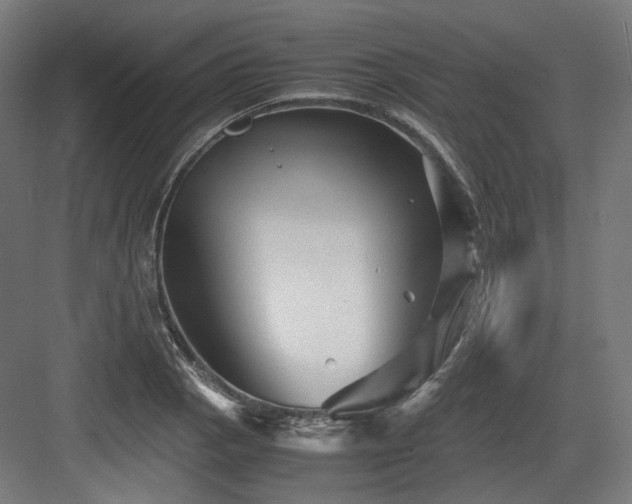 X0000083641129200702121117