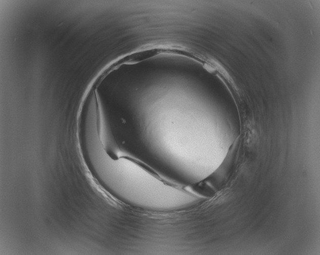 X0000083641132200702121117