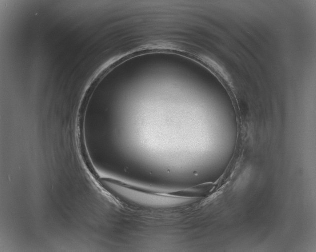 X0000083641133200702121117