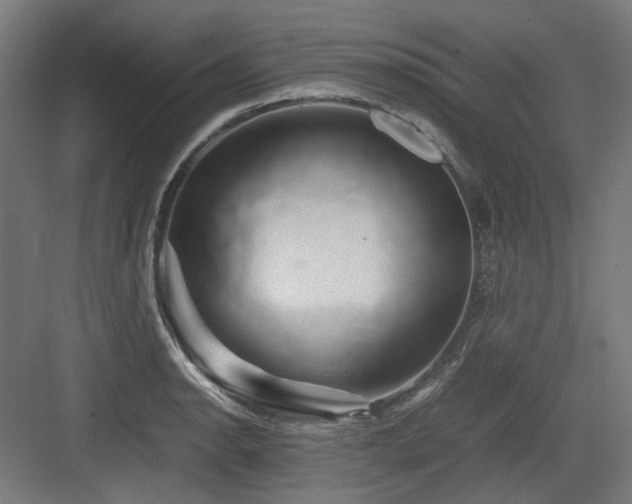 X0000083641134200702121117