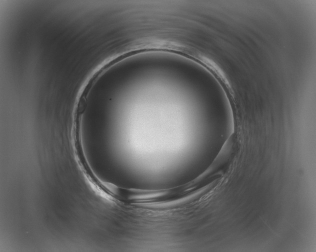 X0000083641136200702121117