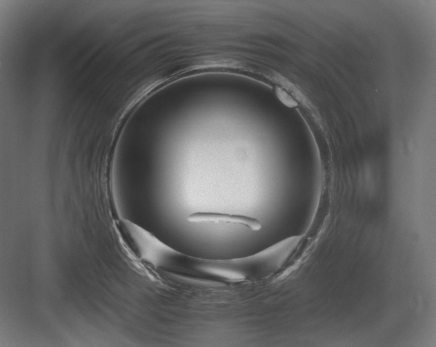 X0000083641137200702121117