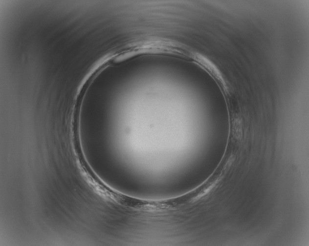 X0000083641138200702121117