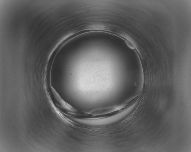 X0000083641139200702121117