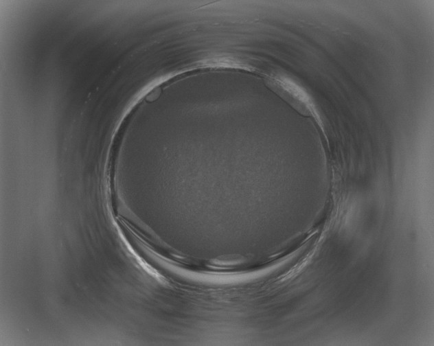 X0000083641141200702121117