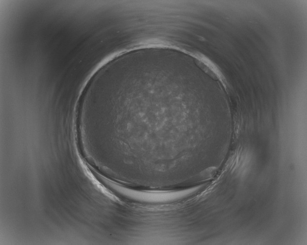 X0000083641142200702121117