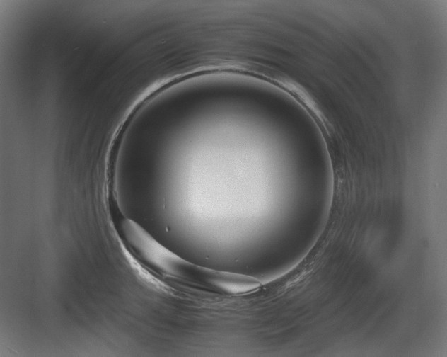 X0000083641143200702121117