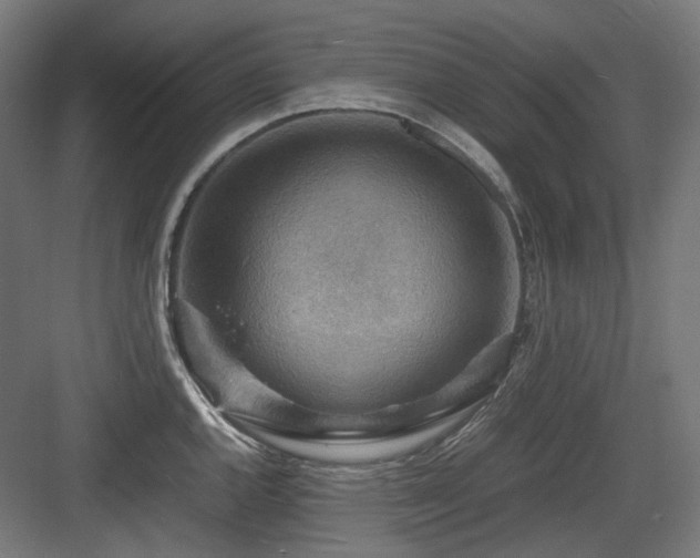 X0000083641144200702121117