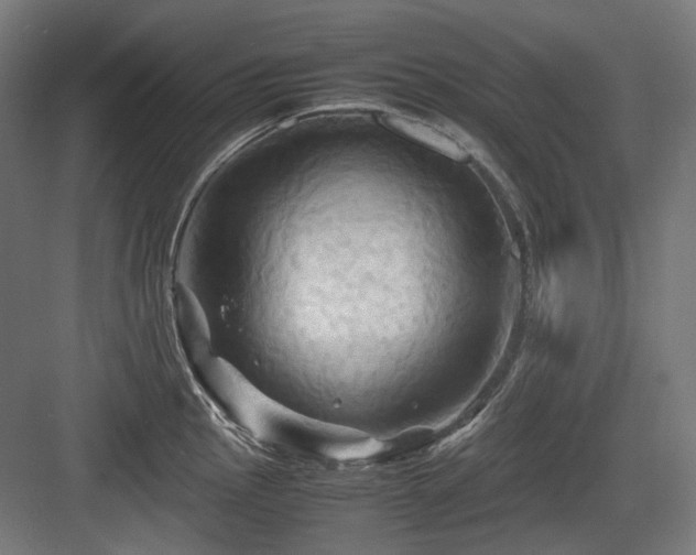 X0000083641145200702121117