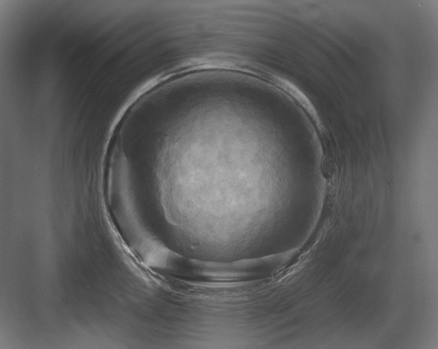X0000083641146200702121117