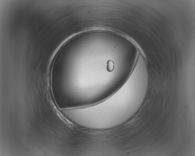 X0000083641148200702121117