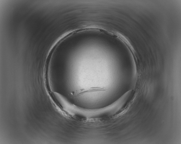 X0000083641149200702121117