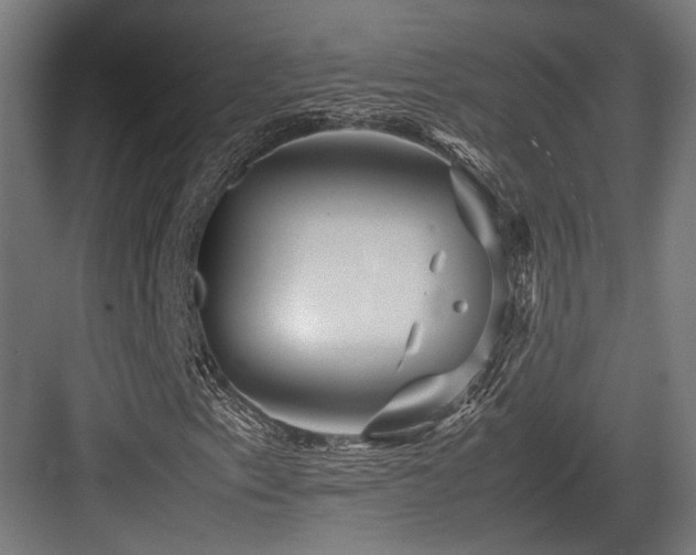 X0000083641153200702121117