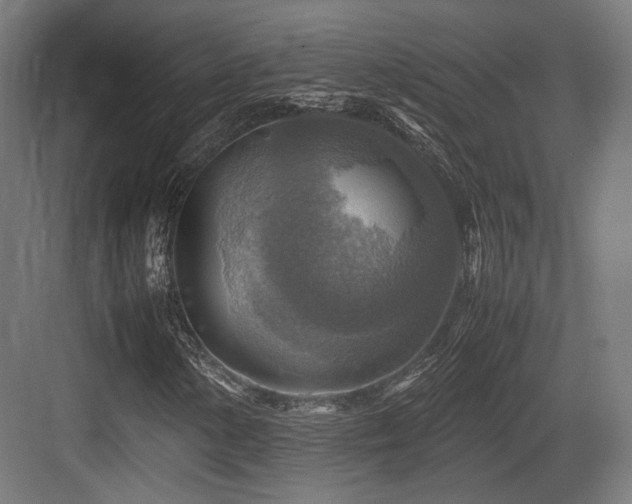 X0000083641154200702121116
