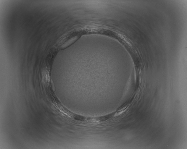X0000083641155200702121116