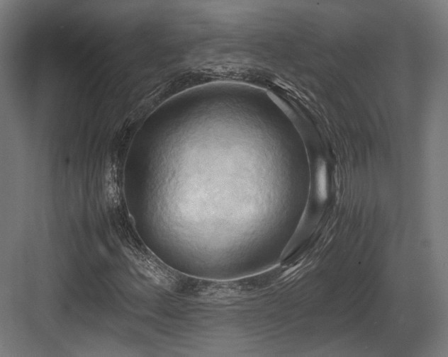 X0000083641156200702121116