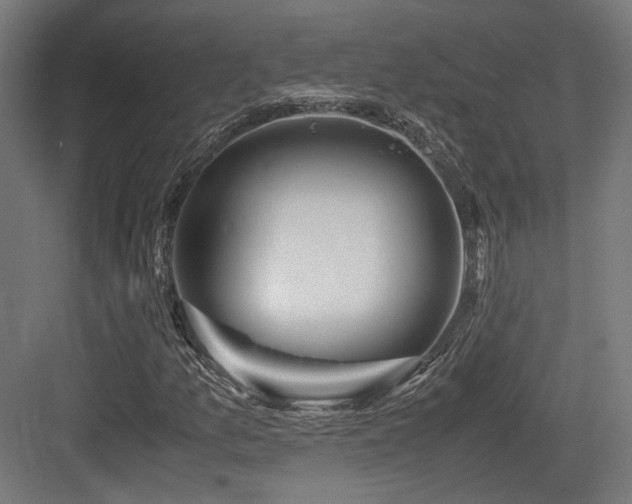 X0000083641157200702121116