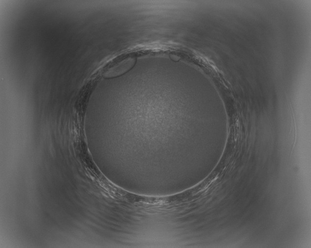 X0000083641158200702121116