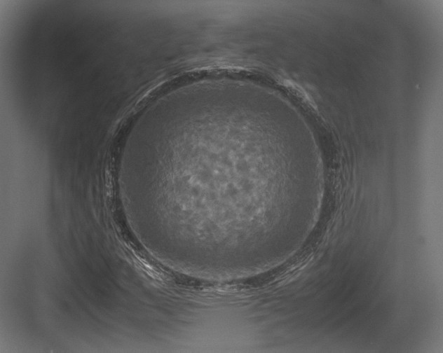 X0000083641159200702121116