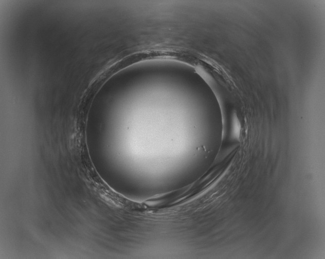 X0000083641160200702121116