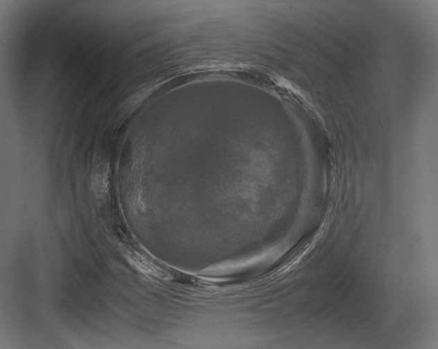 X0000083641161200702121116
