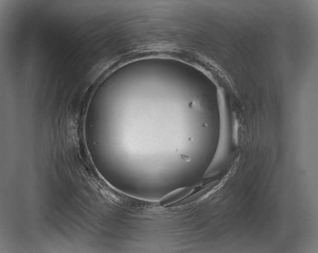 X0000083641162200702121116