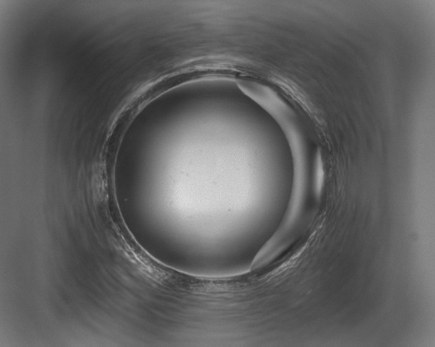 X0000083641164200702121116