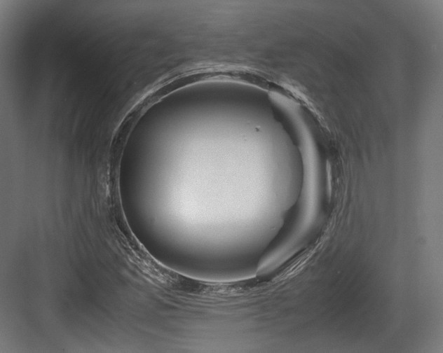X0000083641165200702121116
