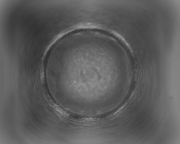 X0000083641167200702121116
