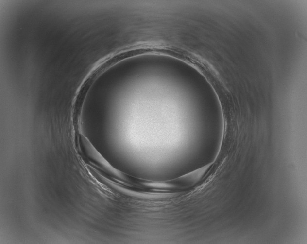 X0000083641168200702121116