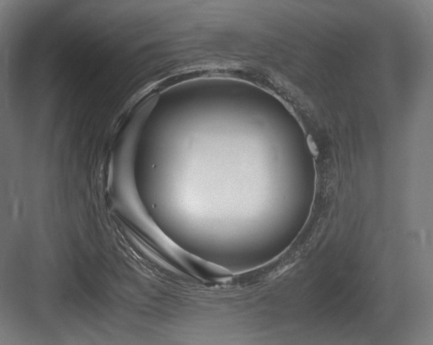 X0000083641169200702121116